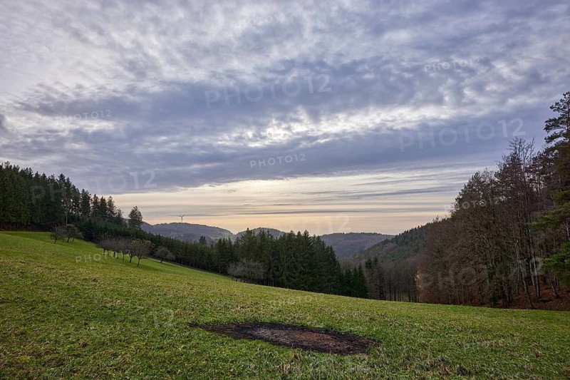 Landscape with meadow, forest and mountains in backlight near Schuttertal, Black Forest, Ortenaukreis, Baden-Württemberg, Germany