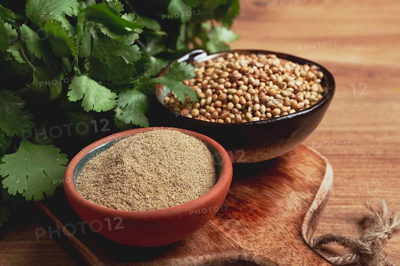 A bunch of fresh cilantro, coriander seeds and powder bowls, close-up, top view, no people, food and drinks