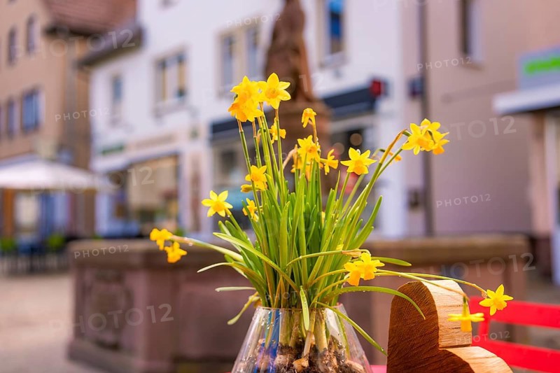 A bouquet of yellow daffodils in a vase in front of a blurred cityscape in spring, Nagold, Calw district, Germany