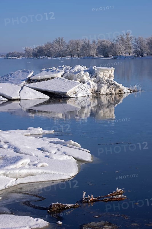 Ice floes, trees, wintery Elbe near Bleckede, Lower Saxony, Germany