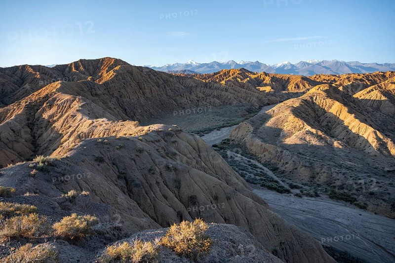 Landscape of eroded hills with canyon at sunrise, badlands, white mountain peaks of the Tian Shan Mountains in the background, Canyon of the Forgotten Rivers, Issyk Kul, Kyrgyzstan