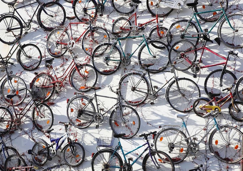 Over a hundred bicycles are mounted on the wall of a bicycle shop, Altlandsberg, 19 October 2012, Altlandsberg, Germany