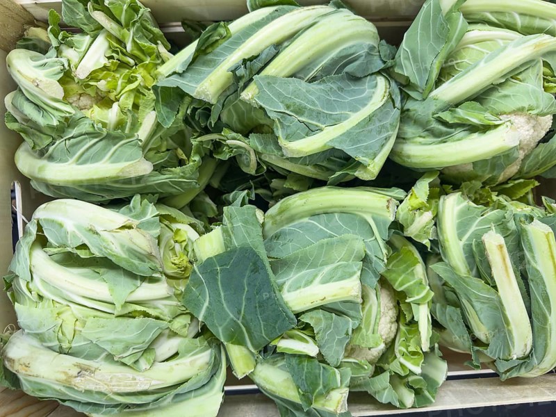 Healthy unprocessed raw vegetables Cauliflower (Brassica oleracea var. botrytis) unprocessed raw with natural leaves on display at greengrocer's greengrocer's grocery shop grocer's grocery store supermarket, Germany