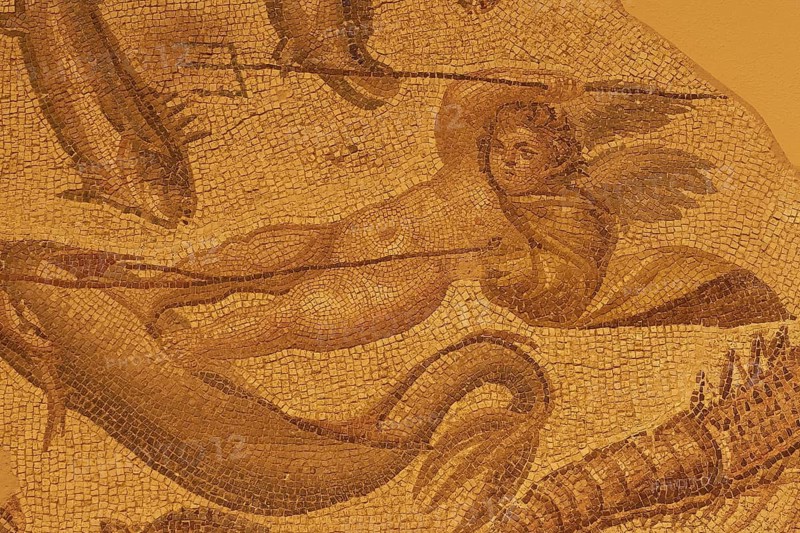Detailed view of an ancient mosaic with mythological figure and maritime motifs, Patras Archaeological Museum, Patras, Peloponnese, Greece