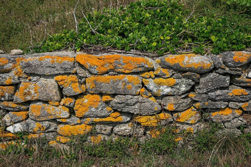Pors Poulhan, Brittany, France - Picturesque dry stone wall on the GR36 coastal hiking trail