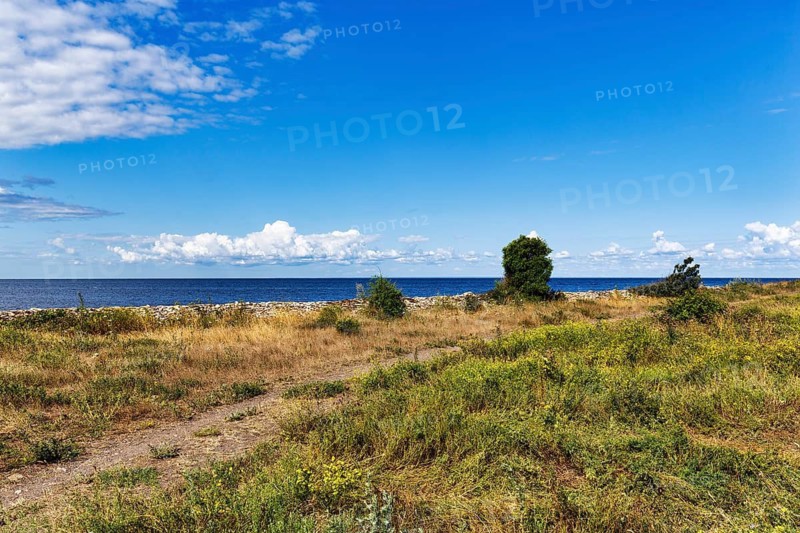Coastal pasture on the Baltic Sea, Alvar, barren, treeless landscape with thin layer of vegetation on limestone, Grönhögen, UNESCO World Heritage Site, agricultural landscape of South Öland, island of Öland, Kalmar län, Sweden