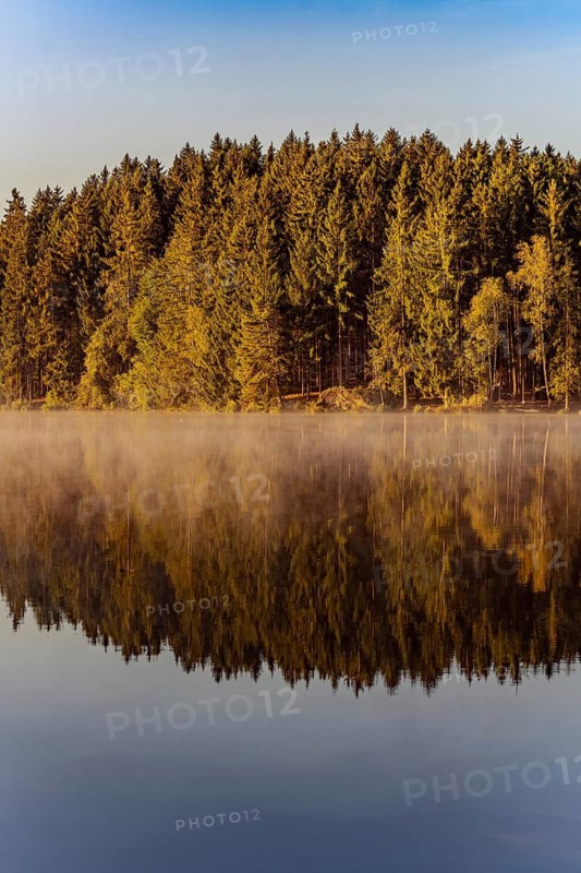 Autumnal morning atmosphere at Schmutter Weiher with fog near Lechbruck, Halblech and Roßhaupten in Allgäu, Bavaria, Germany