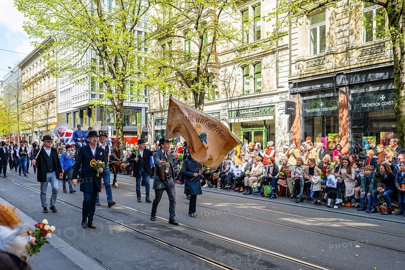 Parade of historically costumed guildsmen, guest canton Schwyz, Sechseläuten or Sächsilüüte, Zurich Spring Festival, Zurich, Switzerland
