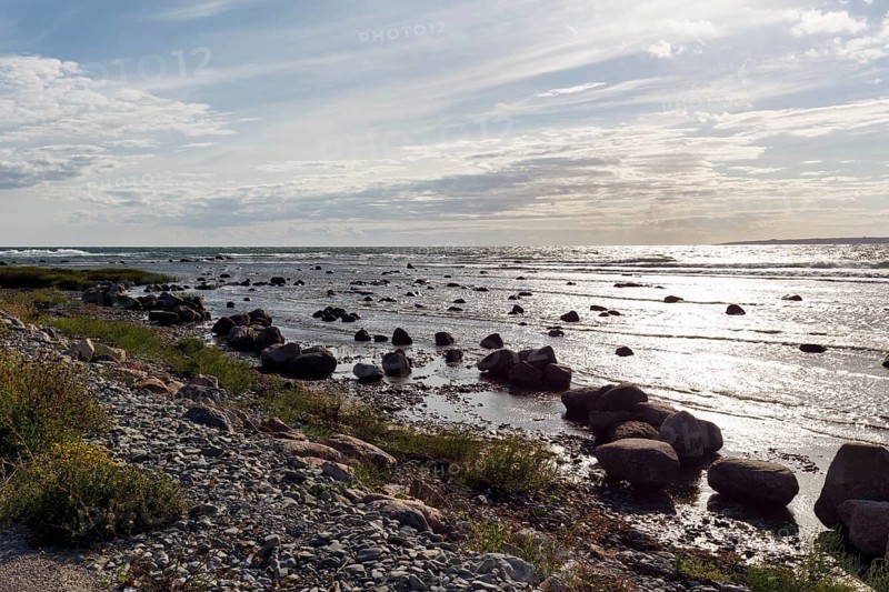 Coastline, pebble beach near Djupvik, picturesque west coast, ecstakusten, island of Gotland, Baltic Sea Sweden