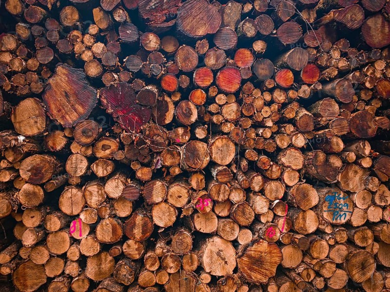 Close-up of a pile of wood in the forest, different shades of brown and tree trunk structures visible, hiking on the former inner-German border on the green belt near Mitwitz, Frankenwald nature park Park