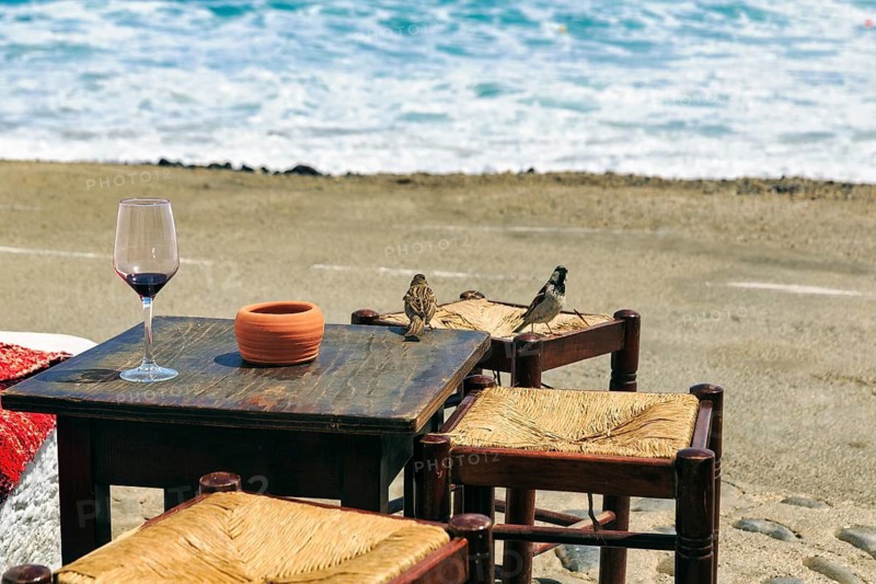 Empty wine glass on simple wooden table outdoors, sparrows sitting on stools, bar, beach bar, Cabo de Gata Natural Park, Cabo-de-Gata-Nijar, Las Negras, Almeria, Andalusia, Spain