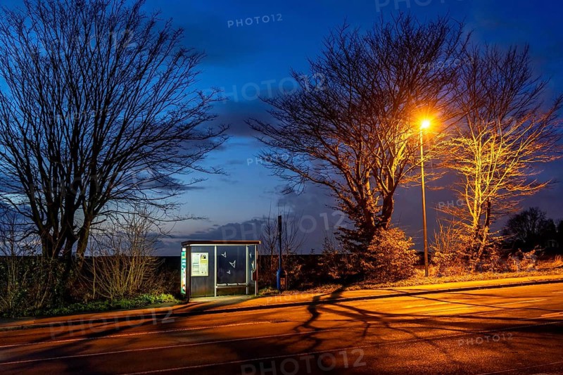 Bus stop Pierburg, in the evening, illuminated, Meisenburger Straße, Essen-Schuir, line 142, in the south of Essen, country road, Essen, North Rhine-Westphalia, Germany