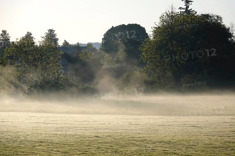 Landscape in May with morning fog, Germany