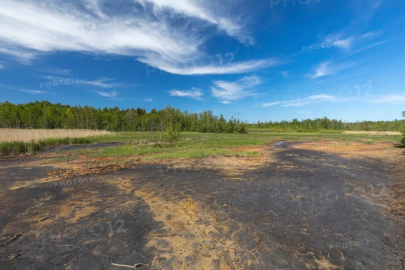Volcanic active area with mofette. Geological park Soos, Soos National Nature Reserve, 351 34 Skalná