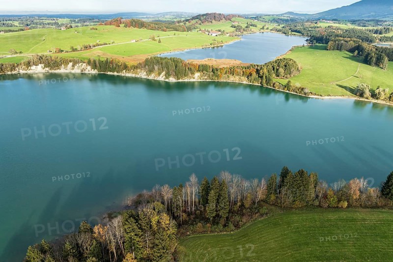Aerial view of lake Forggensee, near Dietringen, Ammergauer Alpen, Allgaeu, Bavaria, Germany