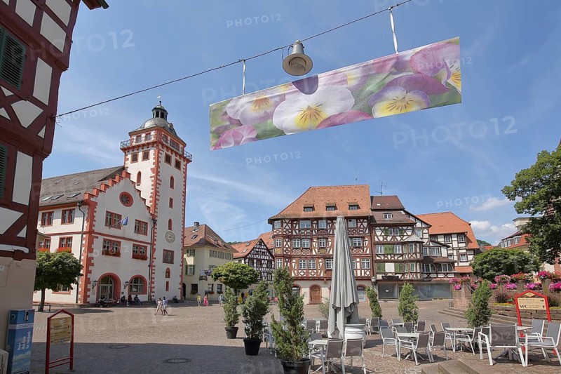Town Hall built in 1557 and half-timbered Palmsches Haus, Marktplatz, Mosbach, Baden-Württemberg, Germany