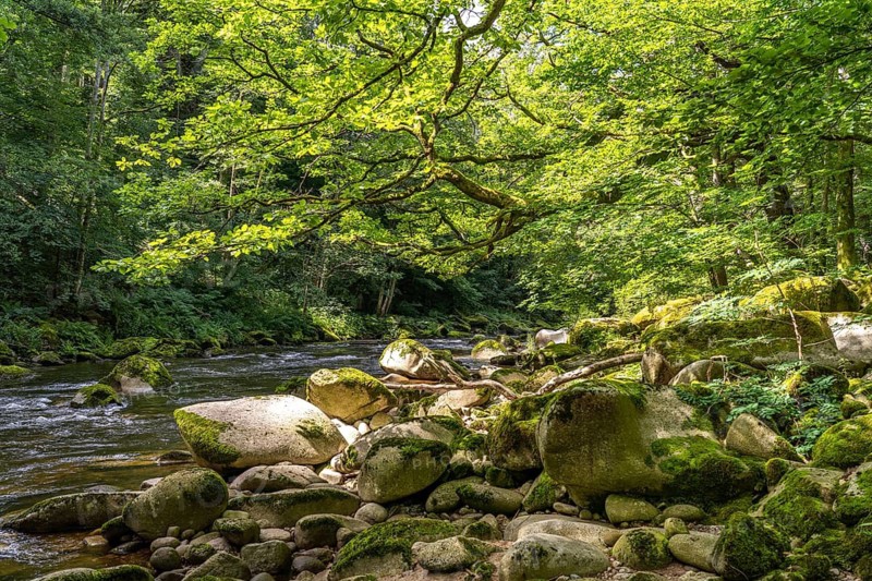 Landscape by the river Murg, Murg Valley, Black Forest, Baden-Württemberg, Germany