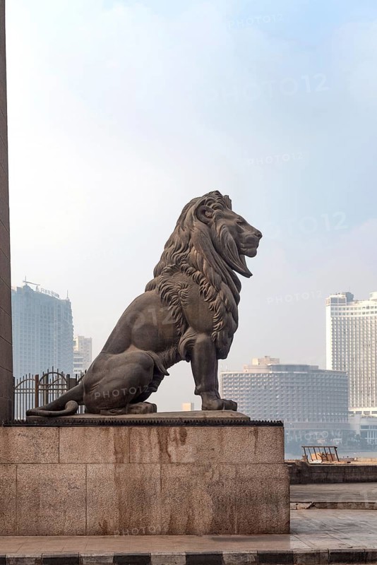 Cairo, Egypt. July 1st 2024 One of the famous bronze lions guarding Qasr El Nil Bridge over the River Nile in Downtown Cairo, Egypt