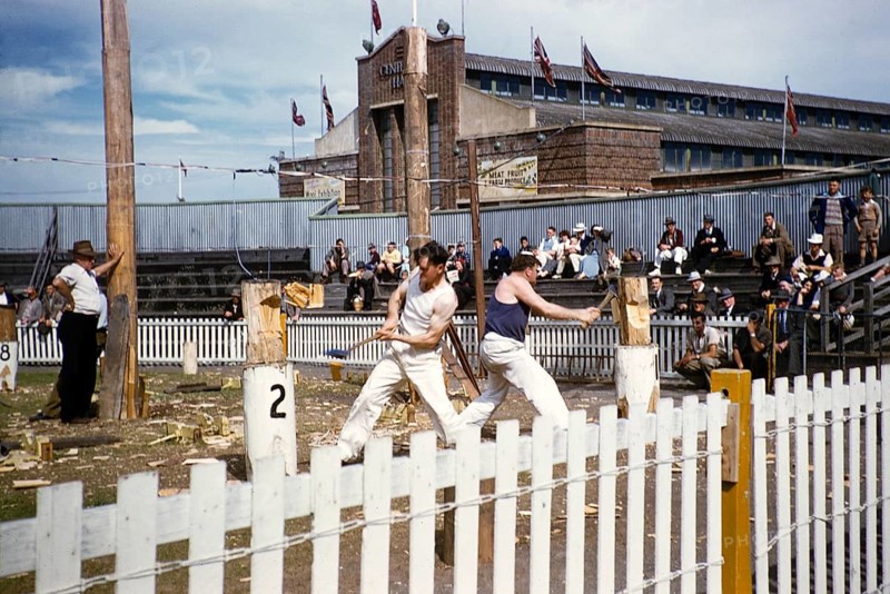Wood chopping competition, Royal Melbourne Show, Ascot Vale, Melbourne, Victoria, Australia 1956