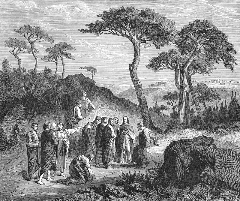 The last way to Jerusalem, chapter 10, verse 32, Mark's Gospel, horror, fear, city, mountainous landscape, group, following Jesus, trees, Bible, historical illustration 1850