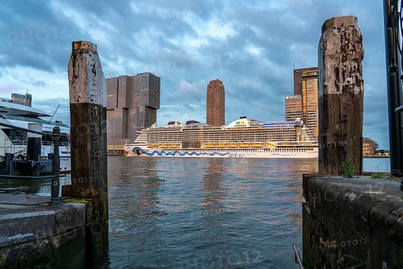 Rotterdam, skyline at the Nieuwe Maas, skyscrapers at the Kop van Zuid district, cruise ship Aida Prima at the Cruise Terminal, Netherlands