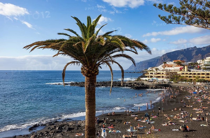 Palm trees with Las Arenas beach in Puerto de Santiago, Atlantic, Tenerife, Canary Islands, Spain