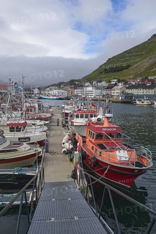 A busy harbour with fishing boats, flanked by a hill and a town, Honningsvag, Norway