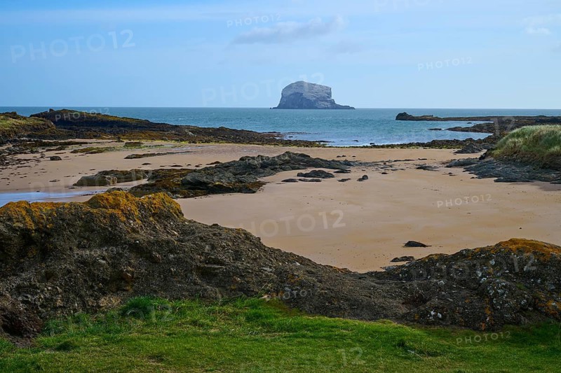 Extensive coastal landscape with rocks, sand and sea views under clear skies, Bass Rock, North Berwick, East Lothian, Scotland, United Kingdom, Great Britain
