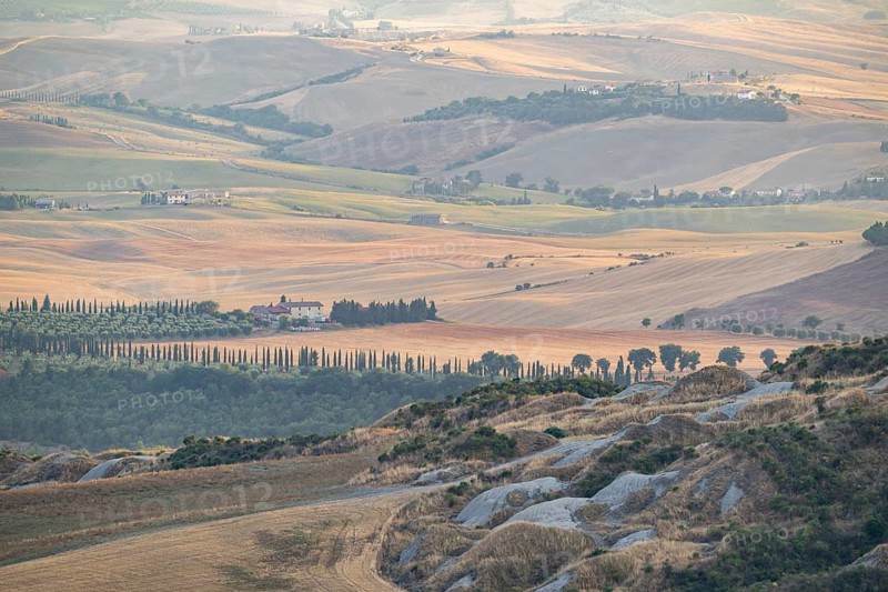 Typical Tuscan landscape in Val d'Orcia with hills, trees, fields, cypresses in autumn at sunset, near La Foce, Tuscany, Italy