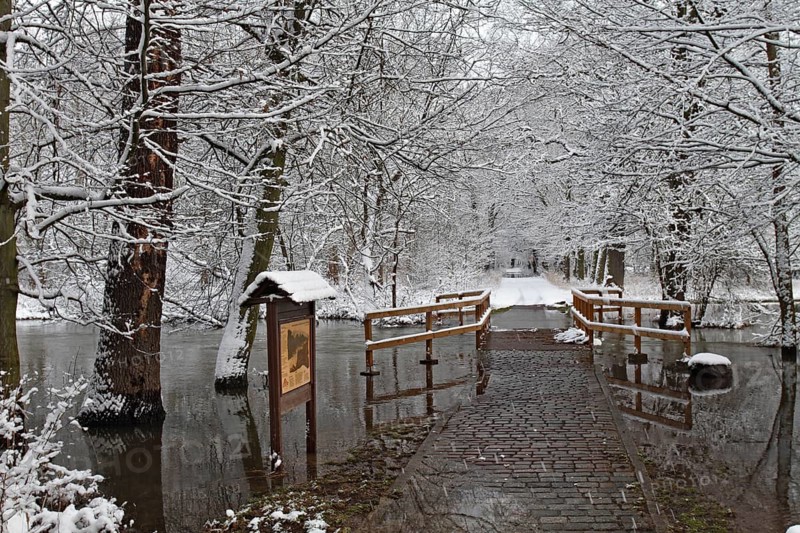 Winter floods, Middle Elbe Biosphere Reserve, Saxony-Anhalt, Germany