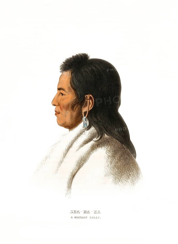 American Indian, Native American, Sha-Ha-Ka, Chief of the Mandan tribe, United States of America, USA, Painting by Charles Bird King (1785, 1862), c. 1840, Historic, digitally restored reproduction from a 19th century original, Record date not stated