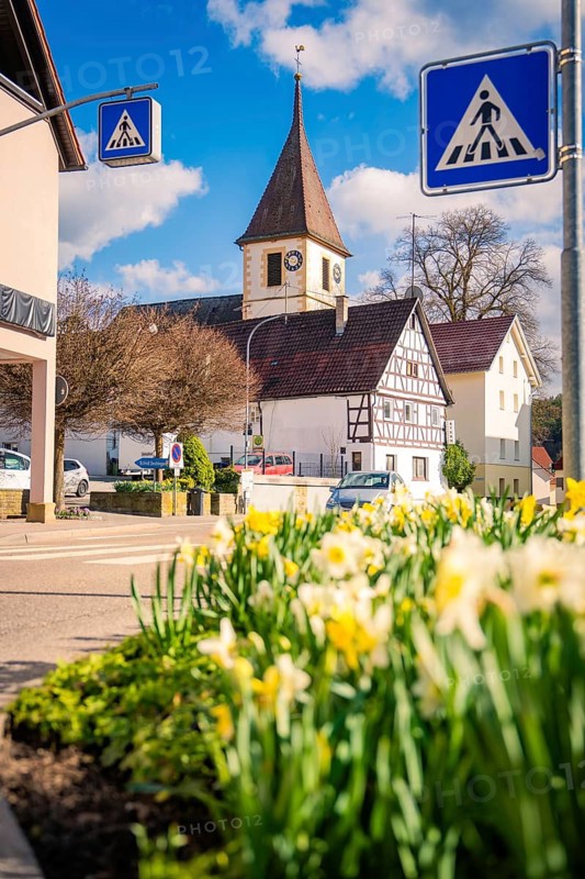 Half-timbered church in spring with yellow daffodils in the foreground and road signs on the edge, Deufringen, Aidlingen, Böblingen district, Germany