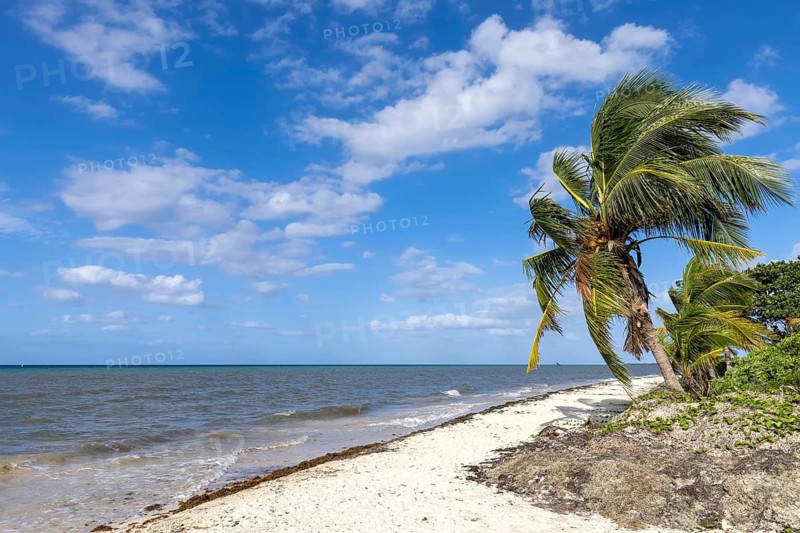 Mexico, beaches, playas, and hotels of Cozumel island, tourism and vacation destination