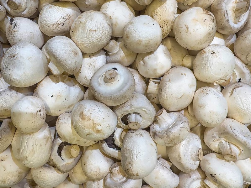Unpackaged loose raw whole white mushrooms Edible mushrooms displayed by grocery store grocery store grocer supermarket, Germany