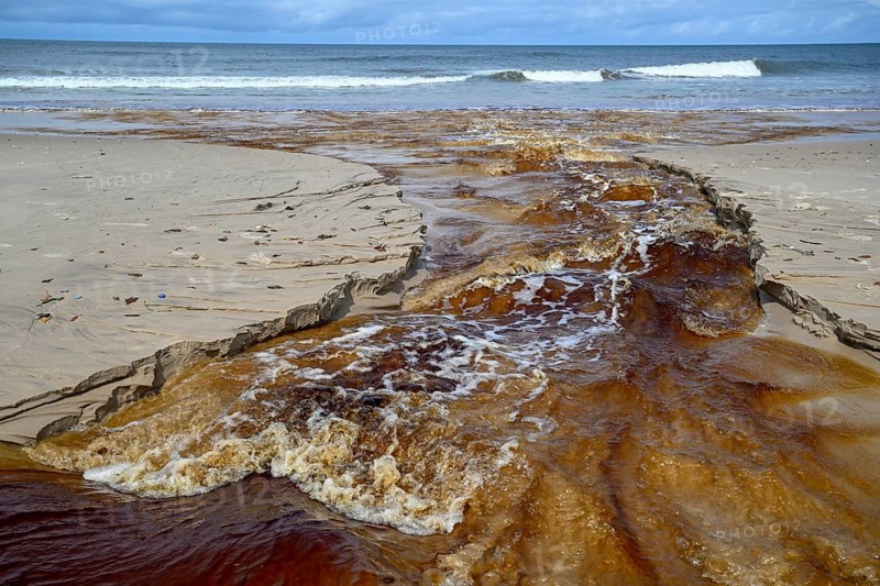 Tannic water from the Congo Basin flows into the sea, Petit Loango, Loango National Park, Parc National de Loango, Ogooué-Maritime Province, Gabon