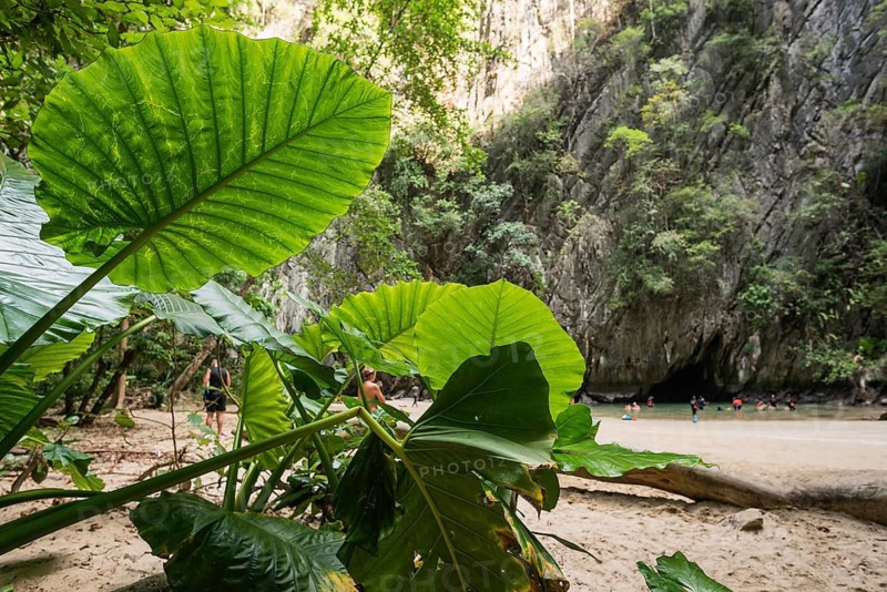 Sandy beach beach with cave in the rainforest, Emerald Cave, Koh Mook, Trang Province, Southern Thailand, Andaman Sea, Thailand