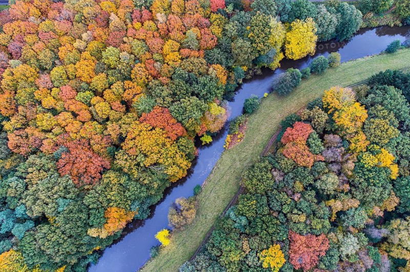 Hunte in autumn Barneführer wood, forest, autumn colors, Westerburg, Wardenburg, Lower Saxony, Germany