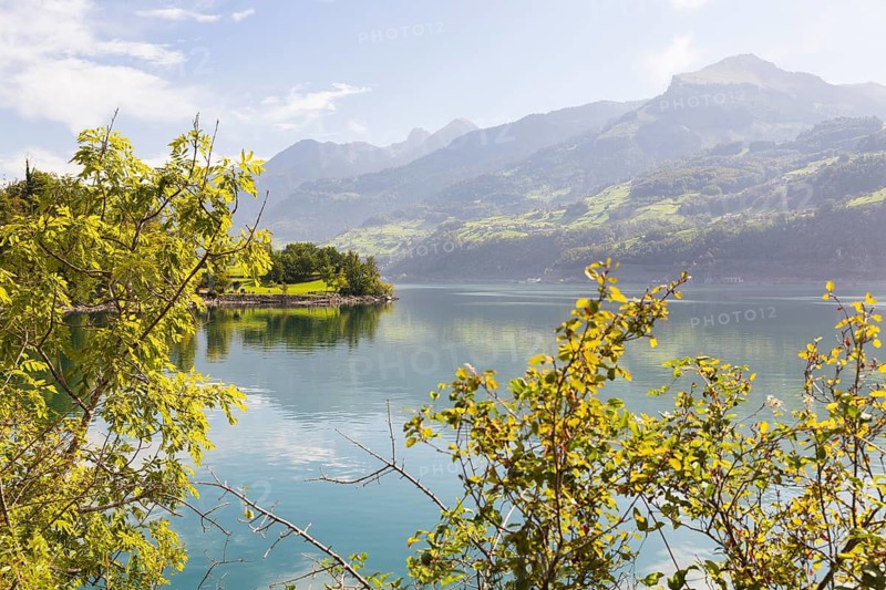 Steep northern shore of Lake Walen, Amden, St. Gallen, Switzerland