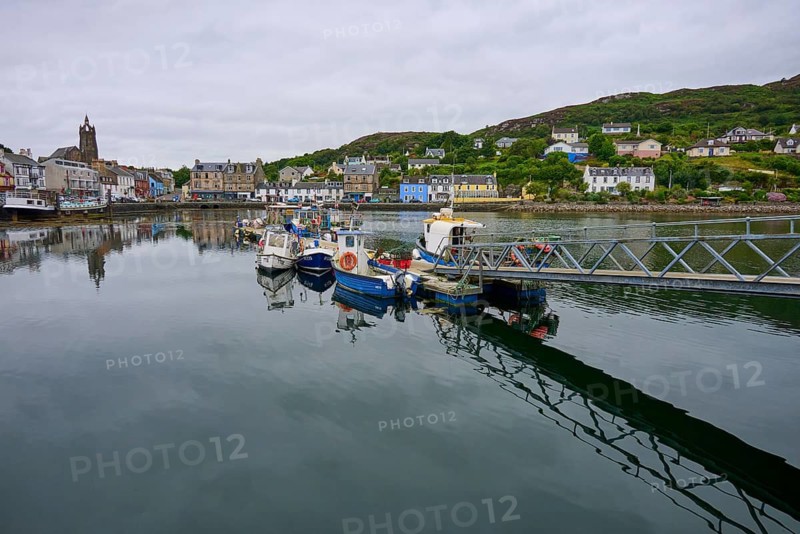 Village harbour view with moored boats and colorful houses, Tarbert, Loch Fyne, Kyles of Bute, Scotland, United Kingdom, Great Britain
