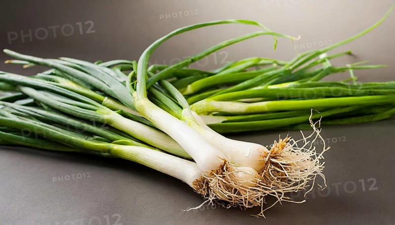Vegetable, spring onion or spring onion, also known as winter onion, Allium fistulosum