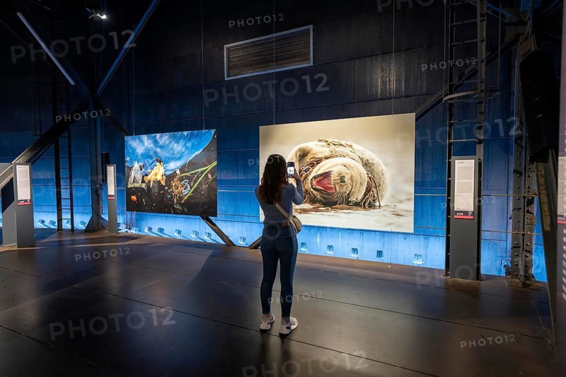 Plante Ozean exhibition in the Gasometer in Oberhausen, the world's oceans in their fragile beauty are the focus of the new exhibition, large-format photos, exhibits including a whale skeleton and an immersive large-scale video and sound installation, The Wave, on a 40 metre high screen measuring over 1000 square metres in total can be seen, Oberhausen, Germany