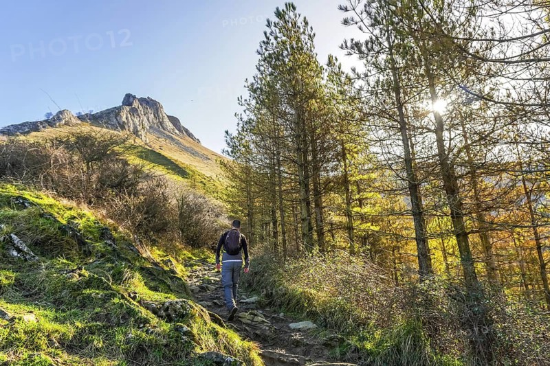 Lone hiker ascending rocky mountain path through pine forest on mount txindoki, gipuzkoa. Dramatic peak rises against blue sky while sunlight filters through autumn trees