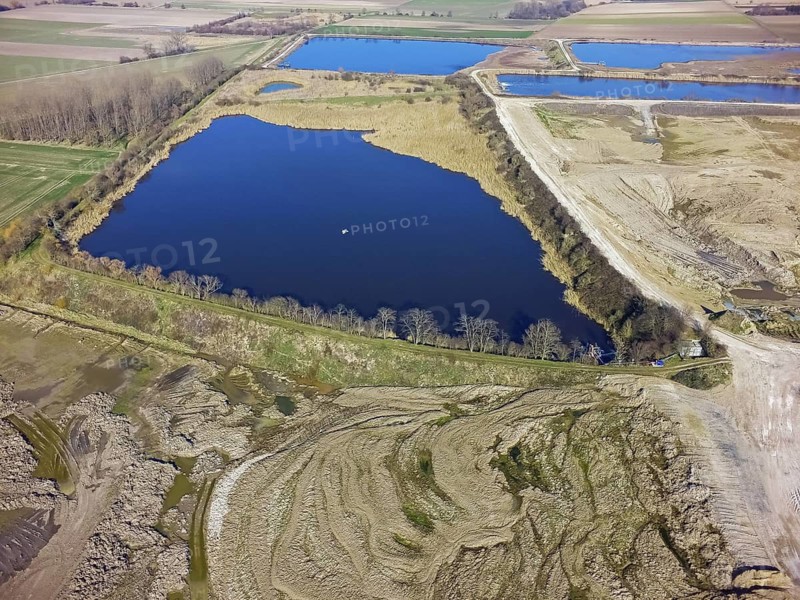 Offstein sewage ponds, ponds of a sugar factory in Rhineland-Palatinate, bird sanctuary, Offstein sewage ponds, Worms district, Rhineland-Palatinate, Germany