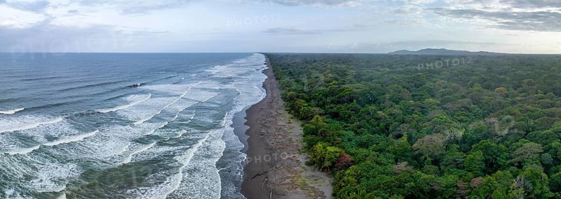 Aerial view, beach and sea, coast with rainforest, Tortuguero National Park, Costa Rica
