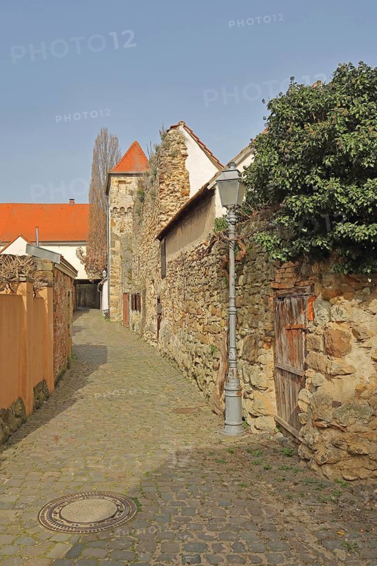Historic city wall with rooster tower, city fortification, city tower, Südliche Ringstraße, Freinsheim, Rhineland-Palatinate, Germany