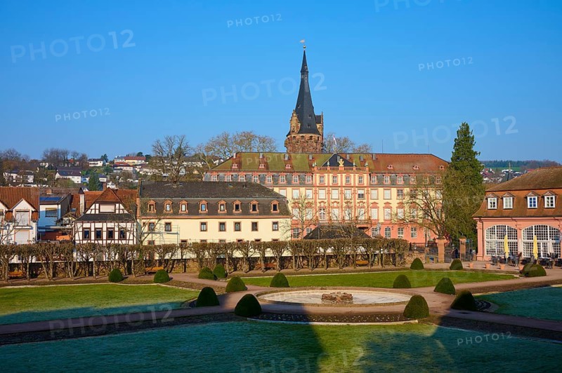 A city view with historic buildings and a central tower under a clear sky, pleasure garden, castle, Erbach, Odenwald, Hesse, Germany