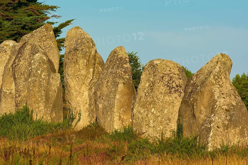 Neolithic menhirs, standing stones in Carnac with sunrise, Carnac, Quiberon, Morbihan, Brittany, France