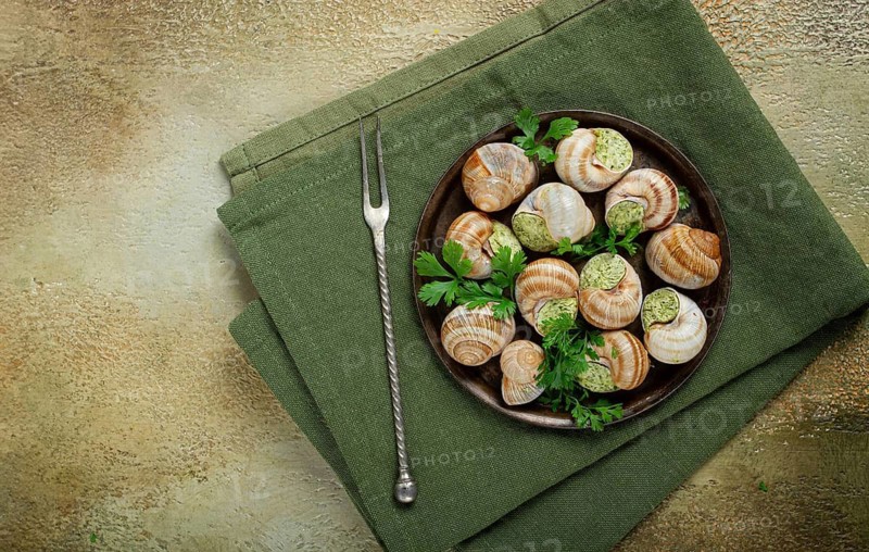 Grape snails stuffed in Burgundy, with butter and herbs, French cuisine, no people