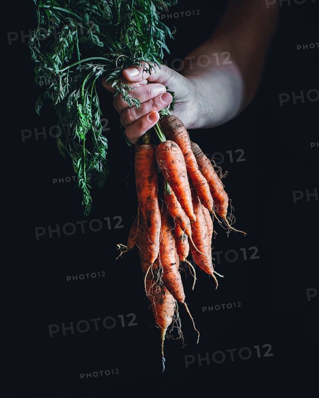 A bundle of organic carrots with green tops is held by a hand against a dark background. The vibrant orange of the carrots contrasts starkly with the black backdrop