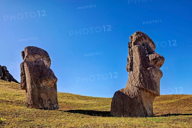 Two large Moai statues stand side by side on a grassy hill under a cloudless sky, The Moai Statues on Easter Island in the Pacific Ocean